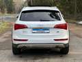 Audi Q5 3.0 TDI  quattro Offroad S line Pano Navi Weiß - thumbnail 4