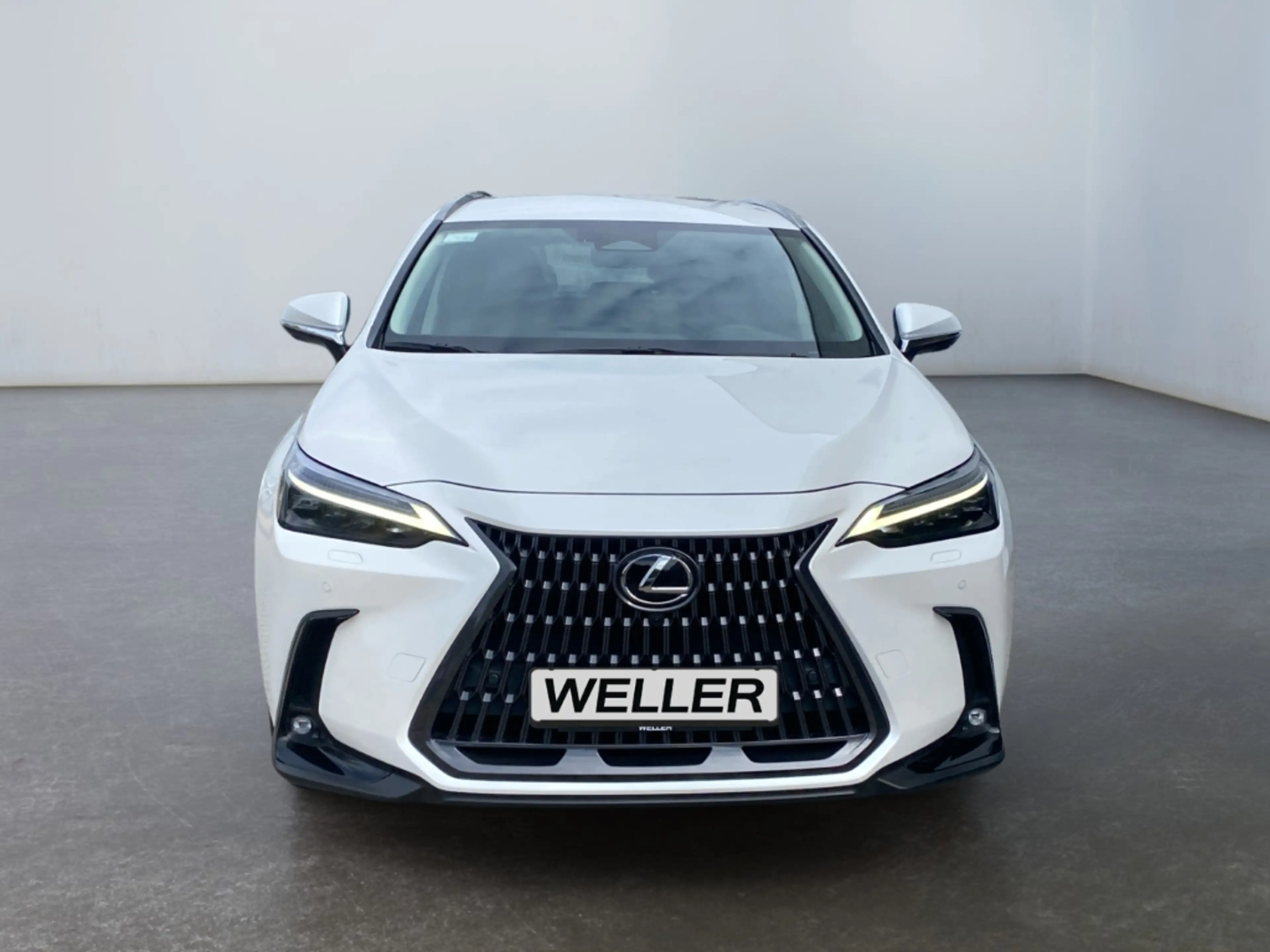 Lexus NX 450h+ Luxury Line E-Four *360°*PDC*LHD* — photo 2