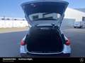 Mercedes-Benz C 220 C 220 T d 4M All-Terrain AHK 360° Standheiz Pano Weiß - thumbnail 9