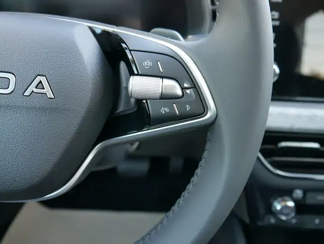 Skoda Scala view 12