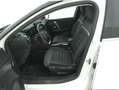 Citroen C4 Shine EAT8 1.5 Diesel 131CV Bianco - thumbnail 10