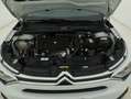 Citroen C4 Shine EAT8 1.5 Diesel 131CV Bianco - thumbnail 13