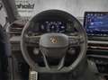 CUPRA Terramar 2.0 TSI VZ DSG 4Drive, Dach,AHK,Alu 20" Grau - thumbnail 14