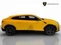 Lamborghini Urus 4.0 V8 auto - GARANZIA UFFICIALE Gelb - thumbnail 8