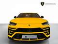Lamborghini Urus 4.0 V8 auto - GARANZIA UFFICIALE Gelb - thumbnail 2