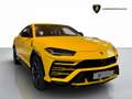 Lamborghini Urus 4.0 V8 auto - GARANZIA UFFICIALE Gelb - thumbnail 1