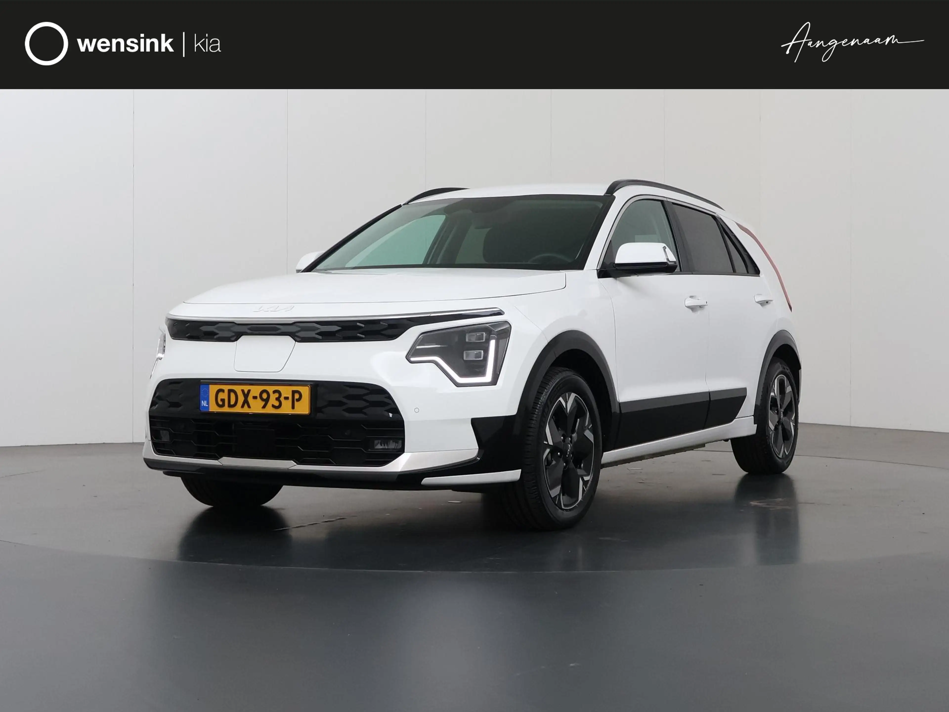 Kia e-Niro EV Edition Advanced 64.8 kWh | Navigatie | Parkeer