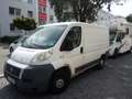 Fiat Ducato L2H1 250.9L1.0 Blanc - thumbnail 1