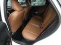 Lexus LBX Hybrid RELAX +Elektrische zetel +Zetelverwarming Wit - thumbnail 13