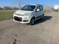 Fiat Panda 0.9 t.air turbo 85cv allestimento trekking Bianco - thumbnail 1