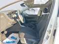 Volkswagen Polo Comf. 1.0TSI 70kW LED PanoDach PDC ACC Sitzheizung Weiß - thumbnail 10