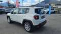 Jeep Renegade 1.0 T3 Business Bianco - thumbnail 6