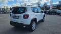 Jeep Renegade 1.0 T3 Business Bianco - thumbnail 4
