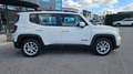 Jeep Renegade 1.0 T3 Business Bianco - thumbnail 2