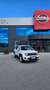 Jeep Renegade 1.0 T3 Business Bianco - thumbnail 1