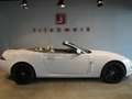 Jaguar XK XK 4.2 Cabriolet*Alpine*19"Alu*Memory* Blanc - thumbnail 3