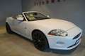 Jaguar XK XK 4.2 Cabriolet*Alpine*19"Alu*Memory* Blanc - thumbnail 17