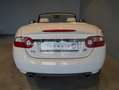 Jaguar XK XK 4.2 Cabriolet*Alpine*19"Alu*Memory* Blanc - thumbnail 15
