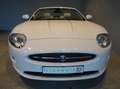 Jaguar XK XK 4.2 Cabriolet*Alpine*19"Alu*Memory* Blanc - thumbnail 16