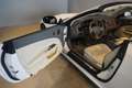 Jaguar XK XK 4.2 Cabriolet*Alpine*19"Alu*Memory* Blanc - thumbnail 12