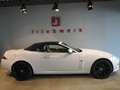 Jaguar XK XK 4.2 Cabriolet*Alpine*19"Alu*Memory* Blanc - thumbnail 18