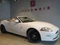 Jaguar XK XK 4.2 Cabriolet*Alpine*19"Alu*Memory* Blanc - thumbnail 1