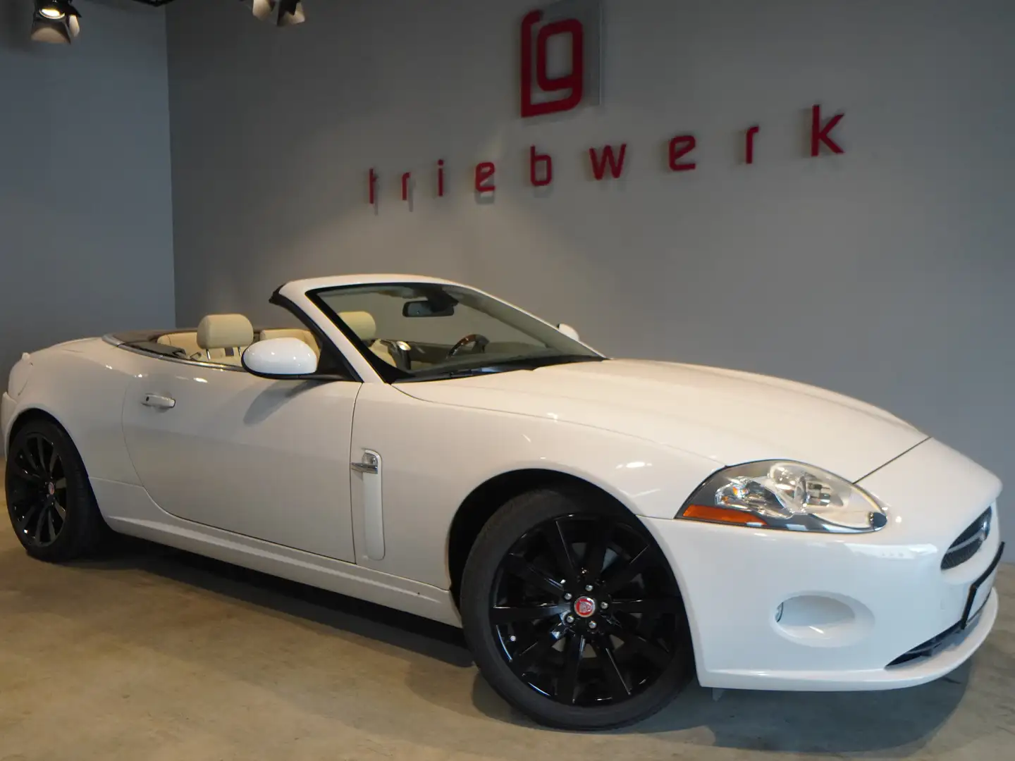 Jaguar XK XK 4.2 Cabriolet*Alpine*19"Alu*Memory* Blanc - 1