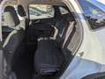 Ford Kuga 2.5 PHEV Titanium NAV*CAM*4xSHZ*PDC*KLIMAAUT Wit - thumbnail 24