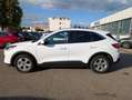 Ford Kuga 2.5 PHEV Titanium NAV*CAM*4xSHZ*PDC*KLIMAAUT Wit - thumbnail 27