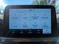Ford Kuga 2.5 PHEV Titanium NAV*CAM*4xSHZ*PDC*KLIMAAUT Wit - thumbnail 14