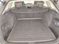 Volkswagen Golf Variant Golf Variant Alltrack 2.0 TDI SCR DSG 4Motion Gris - thumbnail 17