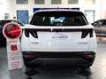Hyundai TUCSON 1.6 CRDI 136 CV MHEV 48V XLINE Bianco - thumbnail 6