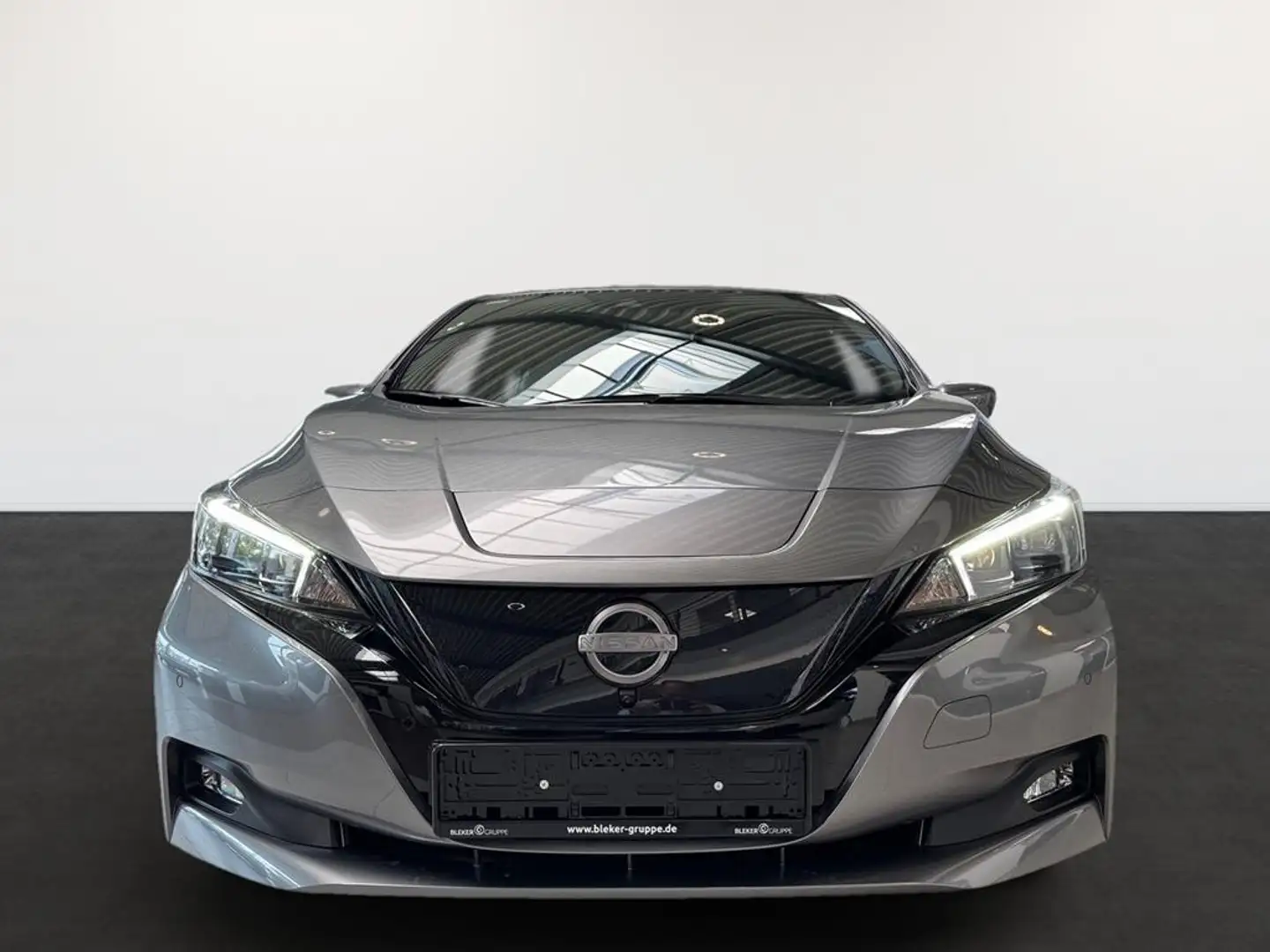 Nissan Leaf e+ Tekna - 2