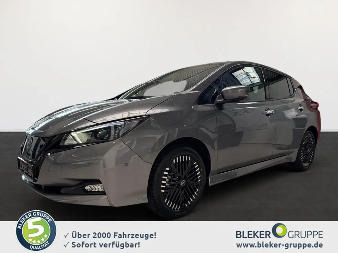 Nissan Leaf e+ Tekna - 1