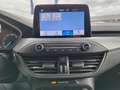 Ford Focus Focus V 2022 1.0t ecoboost h ST-Line 125cv Blu/Azzurro - thumbnail 13
