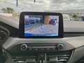 Ford Focus Focus V 2022 1.0t ecoboost h ST-Line 125cv Blu/Azzurro - thumbnail 12