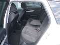 Audi A4 allroad quattro 40 TDI S-tronic *AHV+STHZG.+LED* Weiß - thumbnail 12