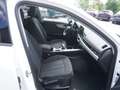 Audi A4 allroad quattro 40 TDI S-tronic *AHV+STHZG.+LED* Weiß - thumbnail 10