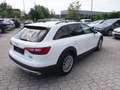 Audi A4 allroad quattro 40 TDI S-tronic *AHV+STHZG.+LED* Weiß - thumbnail 4