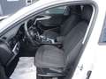 Audi A4 allroad quattro 40 TDI S-tronic *AHV+STHZG.+LED* Weiß - thumbnail 7