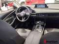 Mazda CX-30 2.0 Skyactiv-X Evolution 2WD 132kW - thumbnail 10