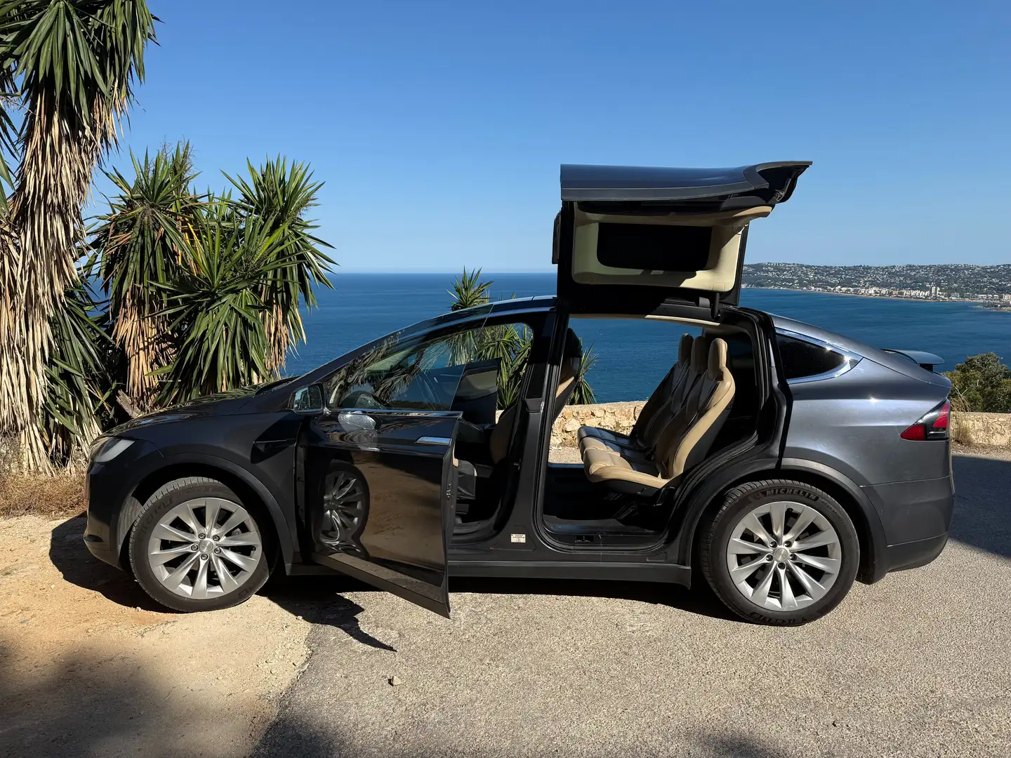 Tesla Model X Model X 90D Gris - 1