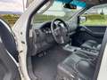 Nissan Pathfinder 2.5 dCi LE | 7-SITZER | AHK | 8-FACH Weiß - thumbnail 7