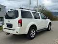 Nissan Pathfinder 2.5 dCi LE | 7-SITZER | AHK | 8-FACH Weiß - thumbnail 4