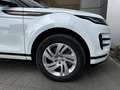 Land Rover Range Rover Evoque S R Dynamic Weiß - thumbnail 9