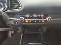 Mazda CX-30 Edition 100 *LED*ACC*HUD*Bose* Rot - thumbnail 15