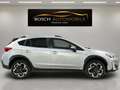 Subaru XV 2.0i Hybrid Executive Plus CVT Gris - thumbnail 5