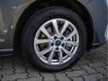 Ford Tourneo KLIMA PDC SHZ KAMERA NAVI ACC LED Grau - thumbnail 7