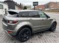 Land Rover Range Rover Evoque SE Dynamic Aut. Panorama /// Gris - thumbnail 6