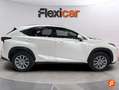 Lexus NX 300 300h Executive 4WD Blanc - thumbnail 9